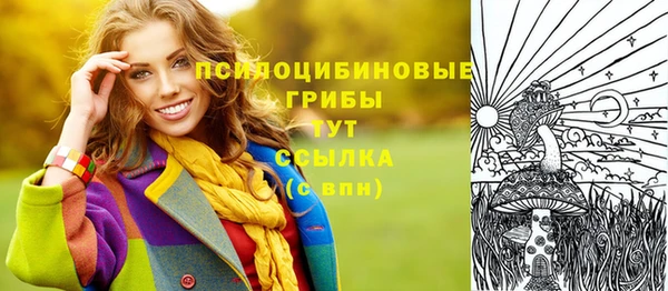 твердый Абинск